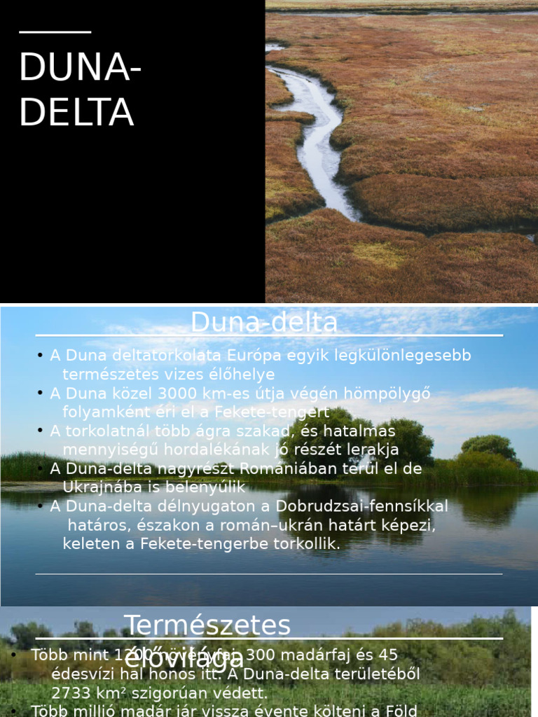 Duna Delta | PDF