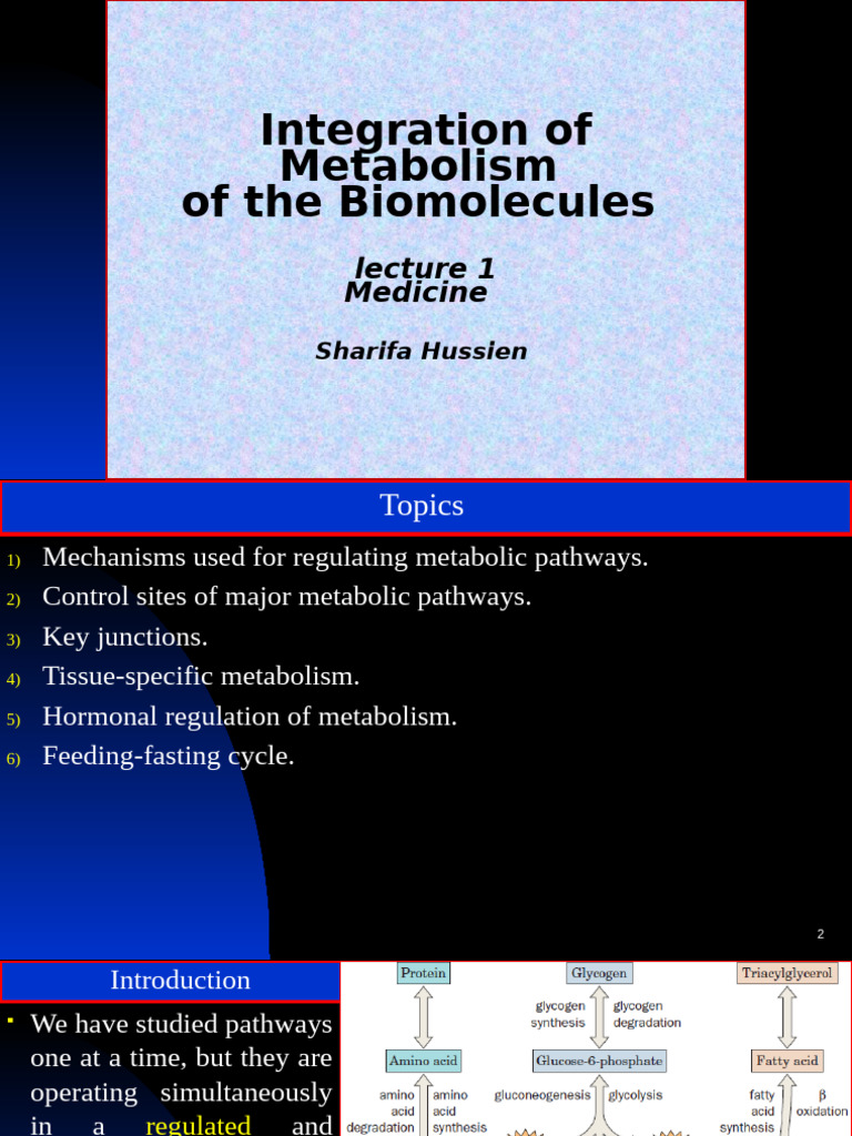 PDF Maker 1747233546072 | PDF | Metabolic Pathway | Metabolism