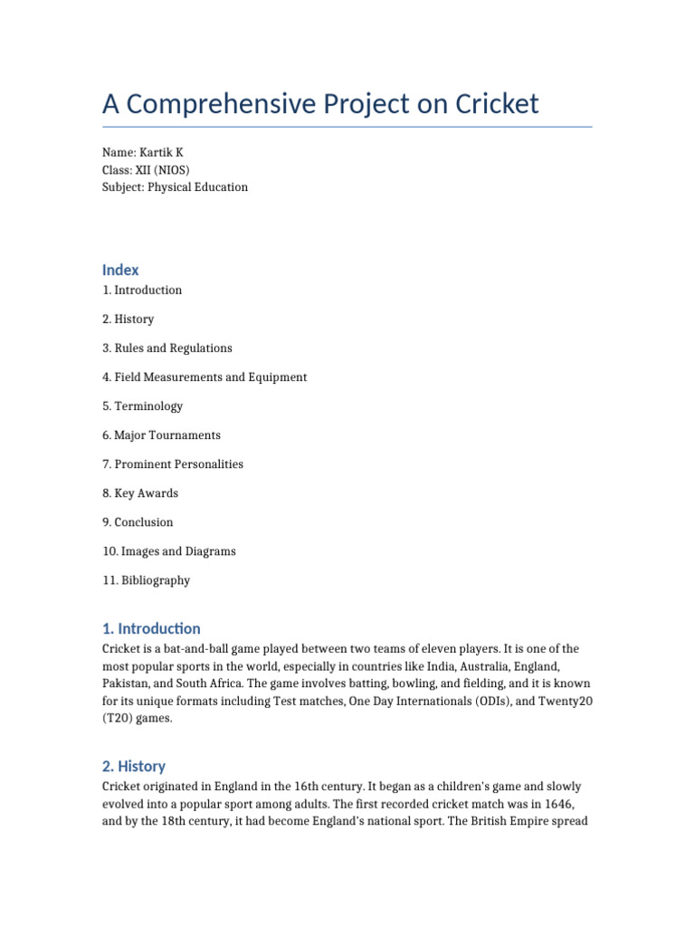 Cricket Project Overview and Insights | PDF