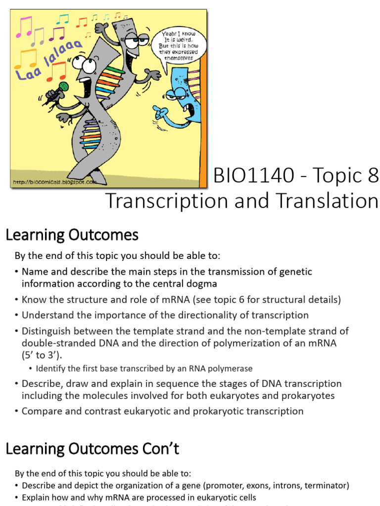 BIO1140 Topic 8 Transcription and Translation 2021 | PDF | Translation ...
