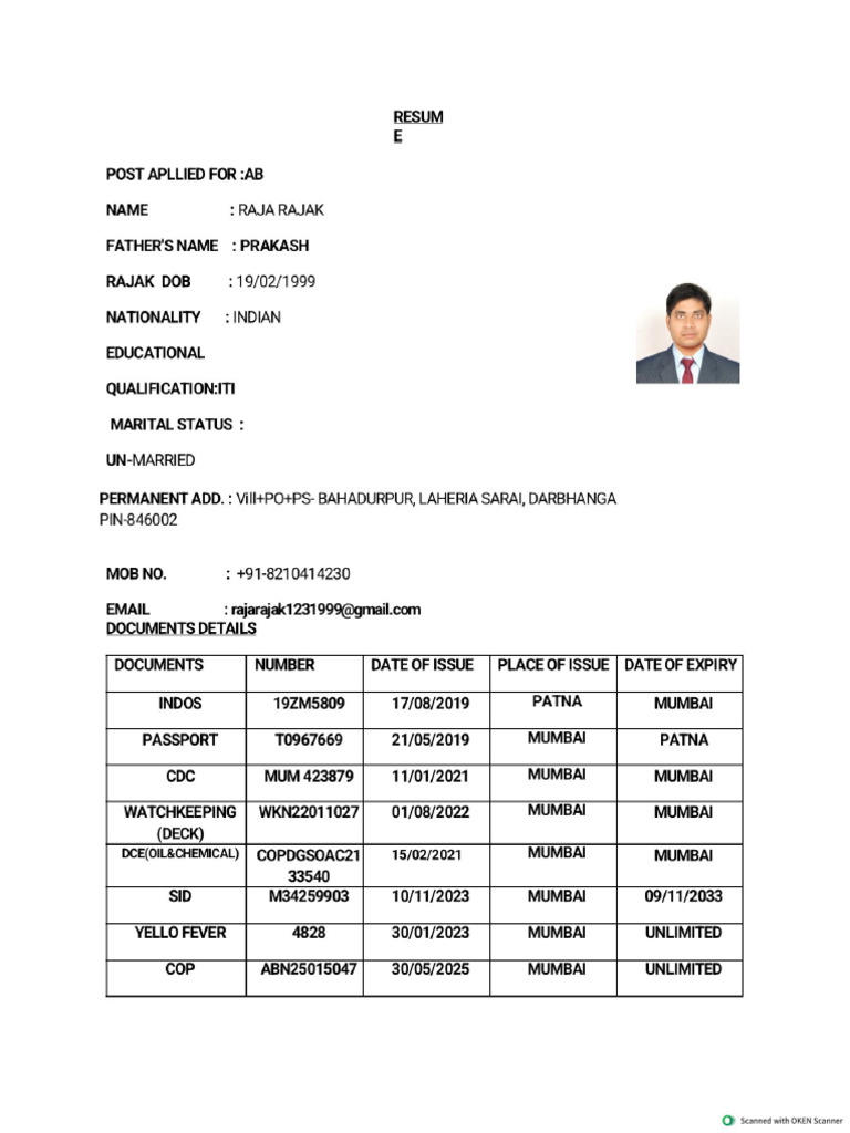 Raja Ab CV New | PDF