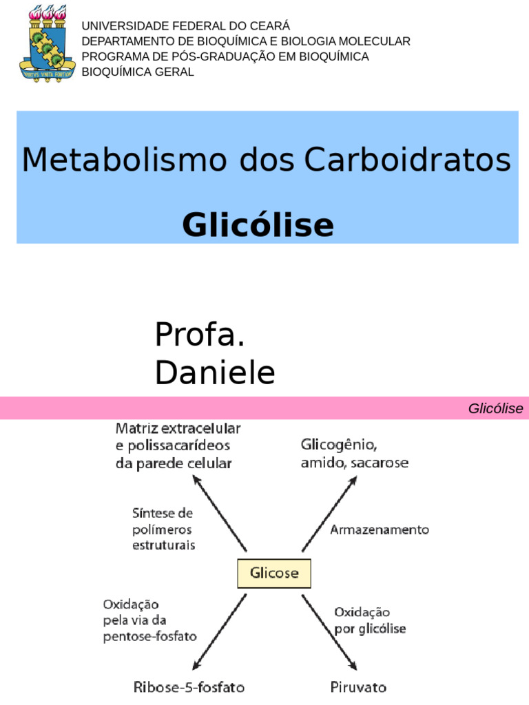 Glicólise | PDF | Glicolise | Respiração celular