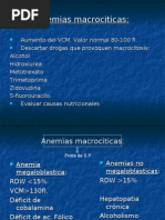 Download Anemia Megaloblastica by QUIMICO CLINICO WILLIANS SANCHEZ SN8743452 doc pdf