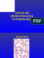 Atlas de Hematologia Veterinaria 2