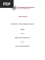 T1-01 Plan 3W Formato | PDF