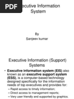 Executive Information System