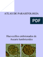 Atlas de Parasitologia