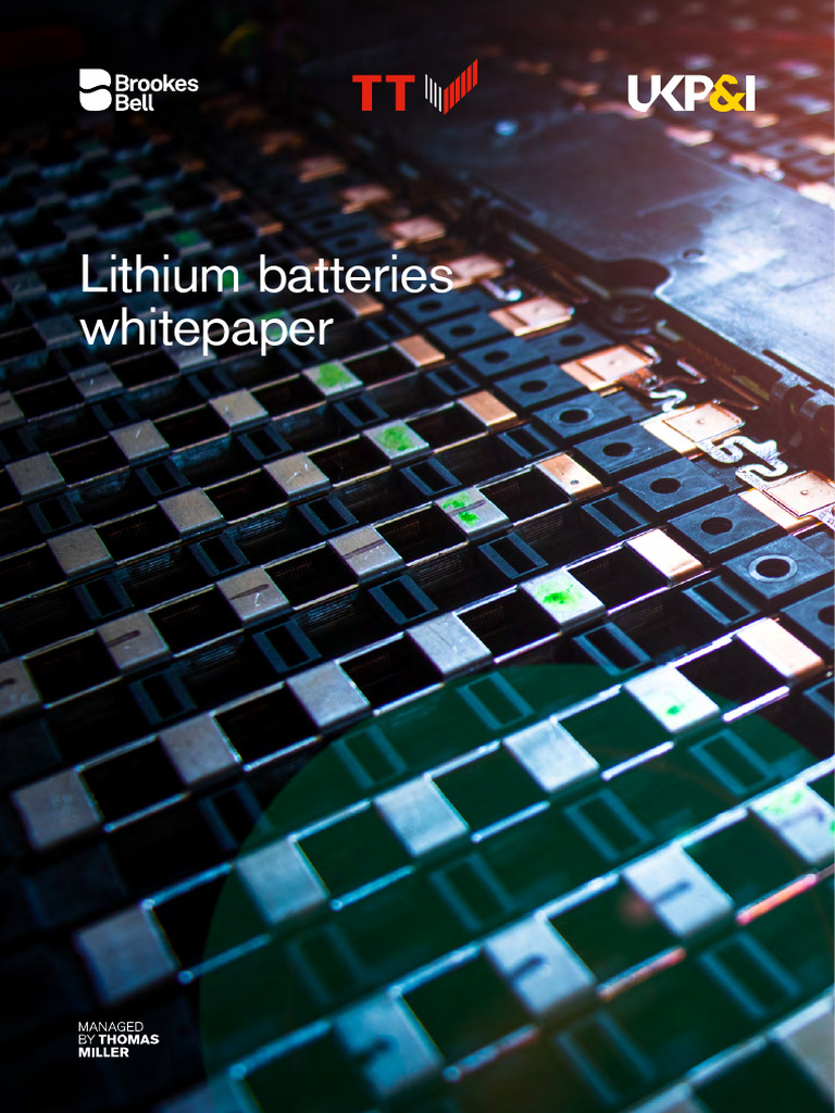 Lithium-Ion Battery Safety Insights | PDF | Lithium Ion Battery | Anode