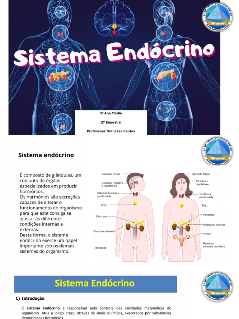 Aula - Sistema Endócrino | PDF