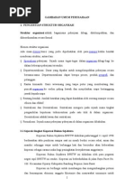 Download struktur organisasi koperasi by Zein Habibillah Hasiboean SN87441358 doc pdf