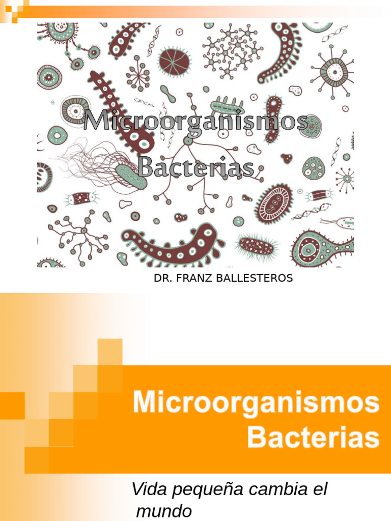 Clasificación y Estructura de Bacterias | PDF | Las bacterias | Plásmido
