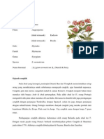 Download Klasifikasi Cengkeh by Ayu Resti Pamungkassari SN87441767 doc pdf