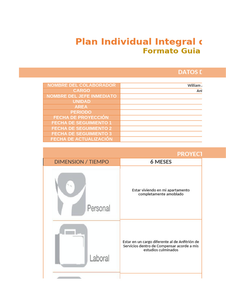 Formato de Piid | PDF | Ingeniería