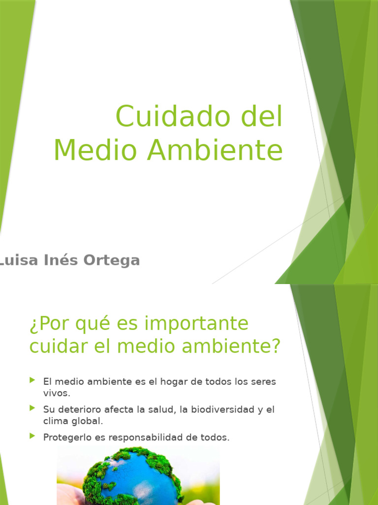 Actividad I - Cuidado Del Medio Ambiente | PDF