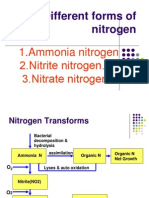 Different Forms of Nitrogen