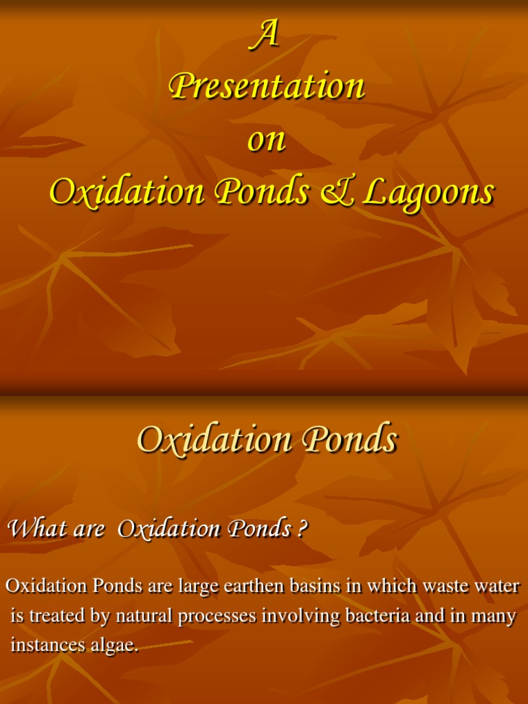 Oxidation Ponds & Lagoons PDF Sewage Treatment Anaerobic Digestion