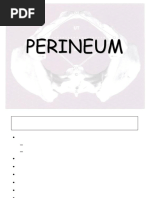 Female Perineum Anatomy Overview | PDF | Pelvis | Vagina