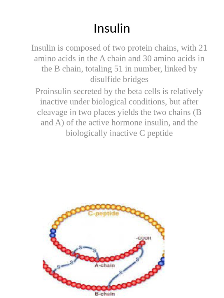 Industrial Production of Insulin | PDF | Insulin | Molecular Cloning