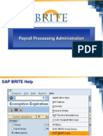 SAP Payroll Processing Administration