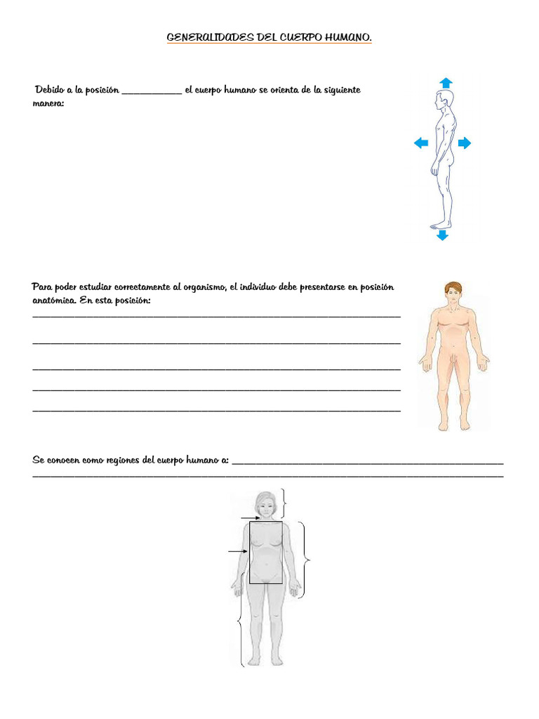 Generalidades Del Cuerpo Humano | PDF