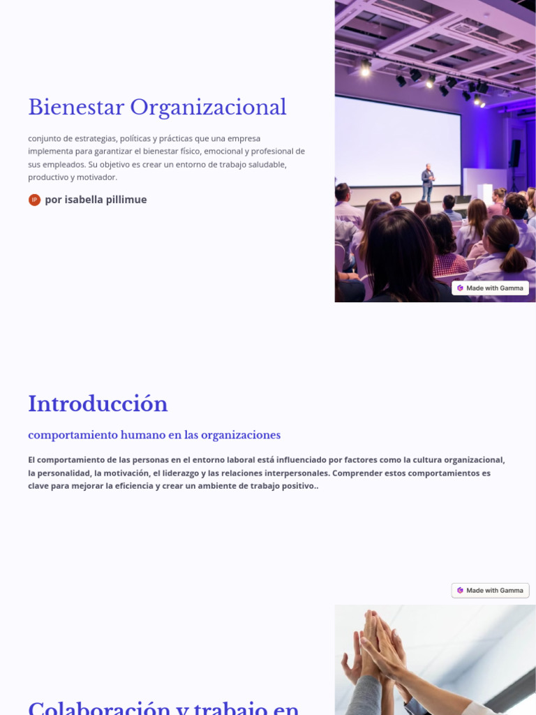 Estrategias para el Bienestar Organizacional | PDF | Gestión del ...