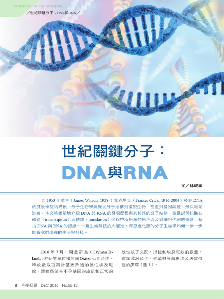55 12 3世紀關鍵分子 DNA與RNA - 3364 - 5304 | PDF