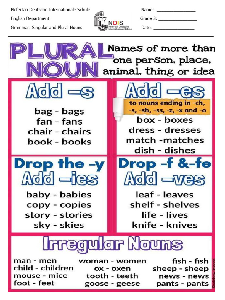 Singular and Plural Nouns Grade 3 | PDF
