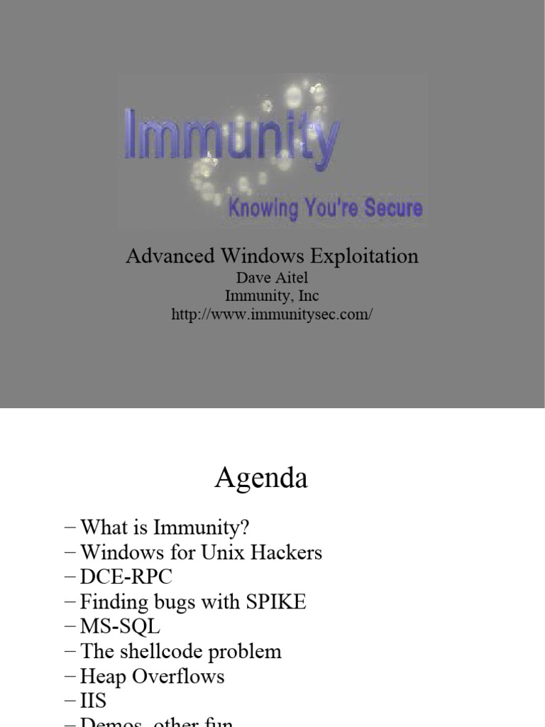 Advanced Windows Exploitation Techniques | PDF | Thread (Computing ...
