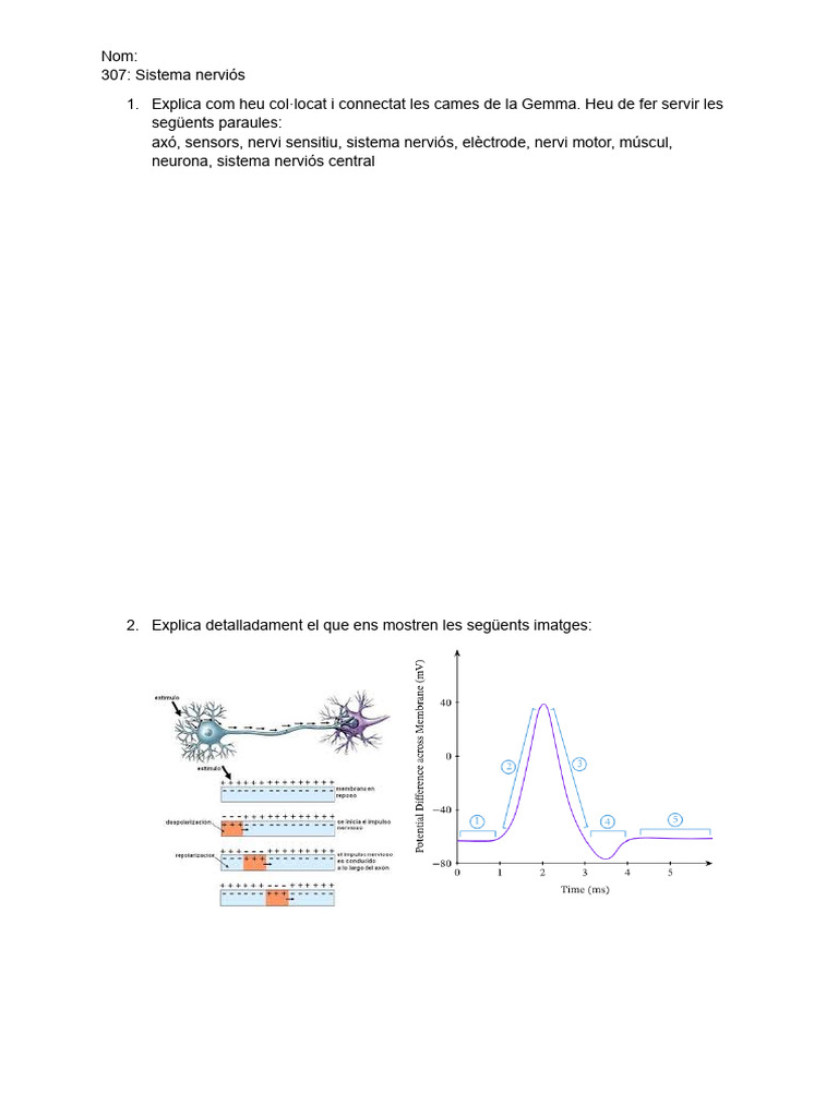 examen-2025-pdf
