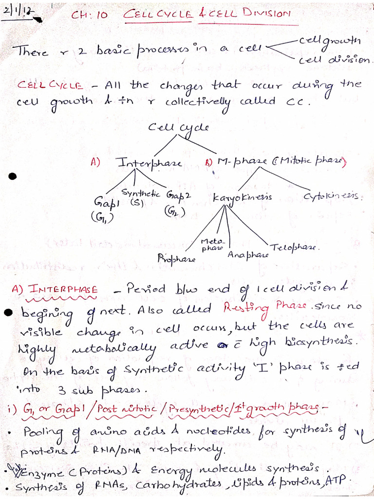CH 10 Cell Cycle and Cell Division | PDF