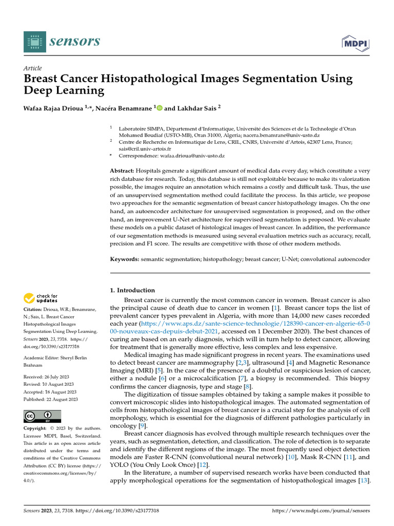 Deep Learning for Breast Cancer Image Segmentation | PDF | Image ...