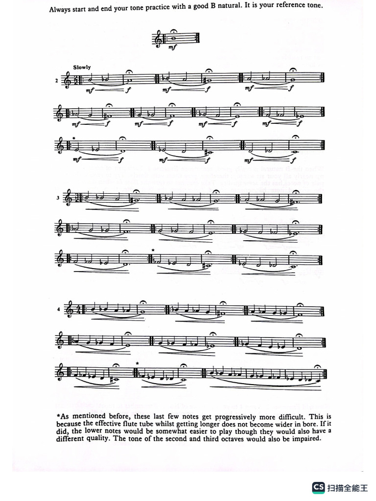 Flute Notes | PDF