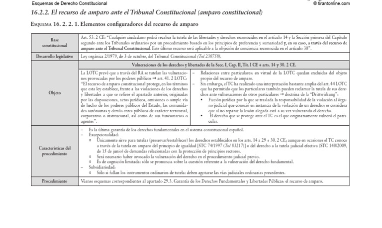 Recurso de Amparo Constitucional en España | PDF | Gobierno | Justicia