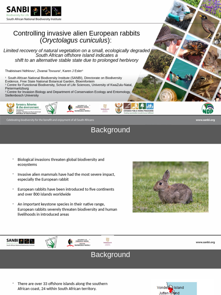 Impact of Rabbit Control on Island Vegetation | PDF | Invasive Species ...