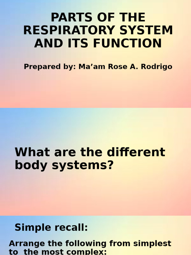 Parts of The Respiratory System and Its Function | PDF