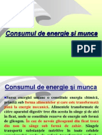 Ergonomie A Energie Umana