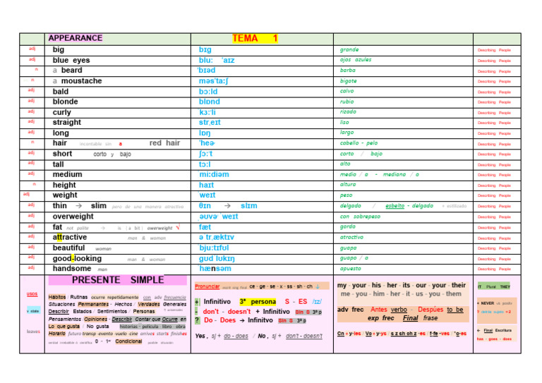 B1.1 Appearance Wordlist + Present Simple | PDF