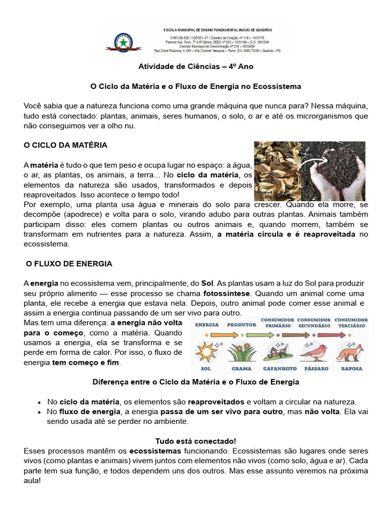Ciclo Materia Fluxo Energia | PDF | Ecossistema | Plantas