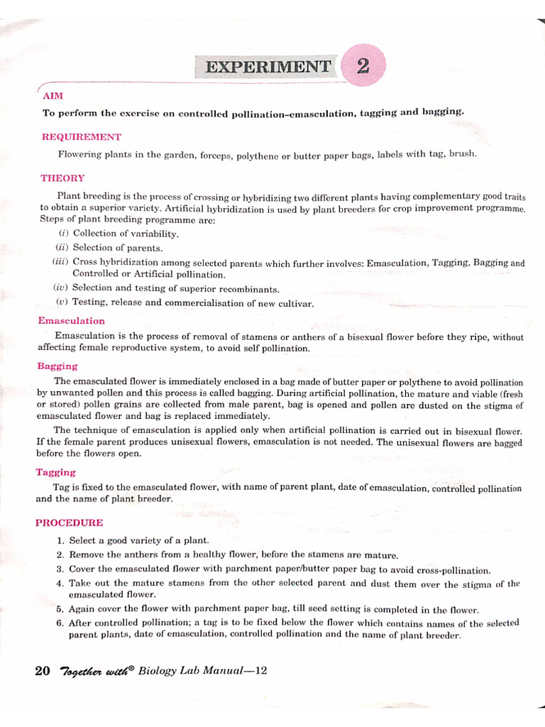 Experiment 4 | PDF