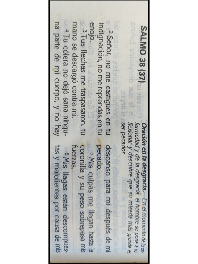 Salmo 38 | PDF