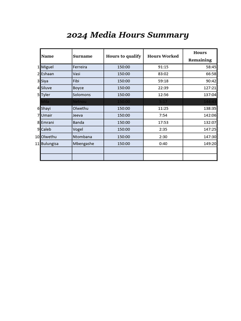 Service Blazer Hours Summary 2024 | PDF