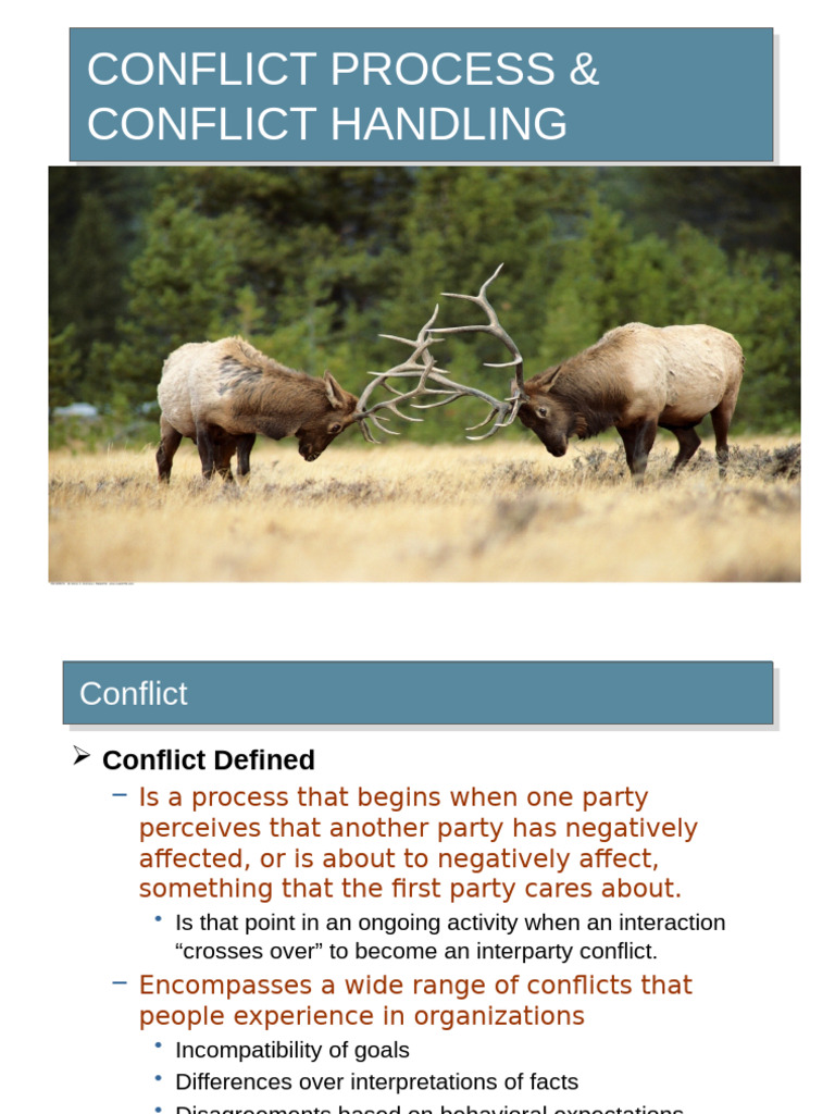 Understanding Conflict Processes and Management | PDF | Behavioural ...