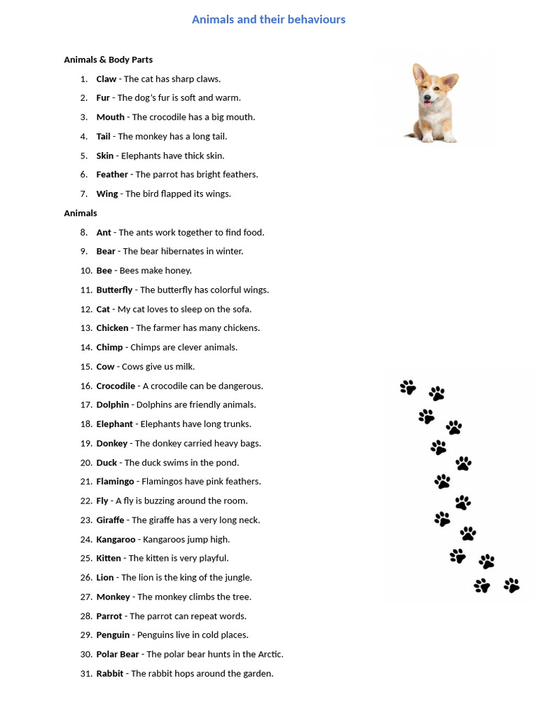 Animal Behaviors and Care Guide | PDF | Pet | Cats