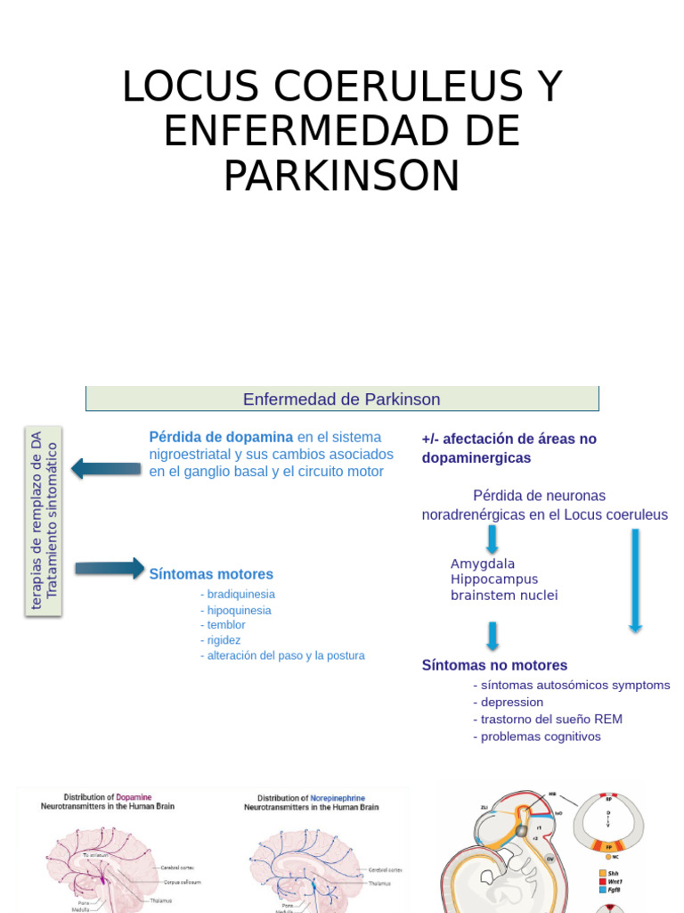 Locus Coeruleus y Enfermedad de Parkinson | PDF