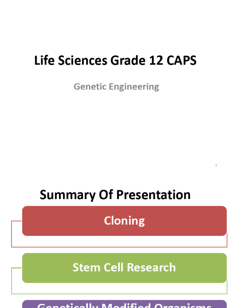 PP13. Genetic Engineering | PDF | Genetic Engineering | Genetically ...