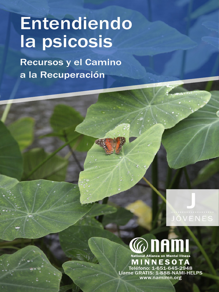 NAMI UnderstandingPsychosisSpanish FINAL Web | PDF | Psicosis | Terapia ...