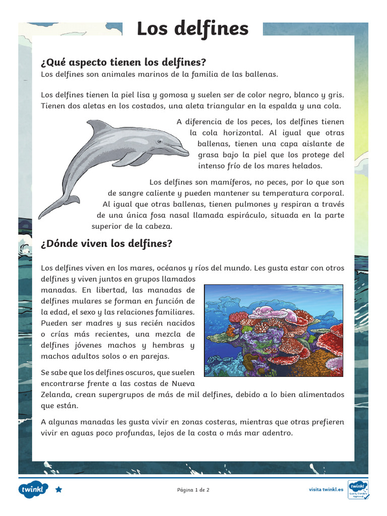 Hermosa toma de delfines lindos colgando bajo el agua en Bimini, Bahamas —  Foto de stock #322520148 © Wirestock, image size:768x1024