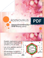 ADENOVIRUS