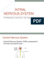 The Central Nervous System: Phil Macfarland, Justin Arthur, Tom England