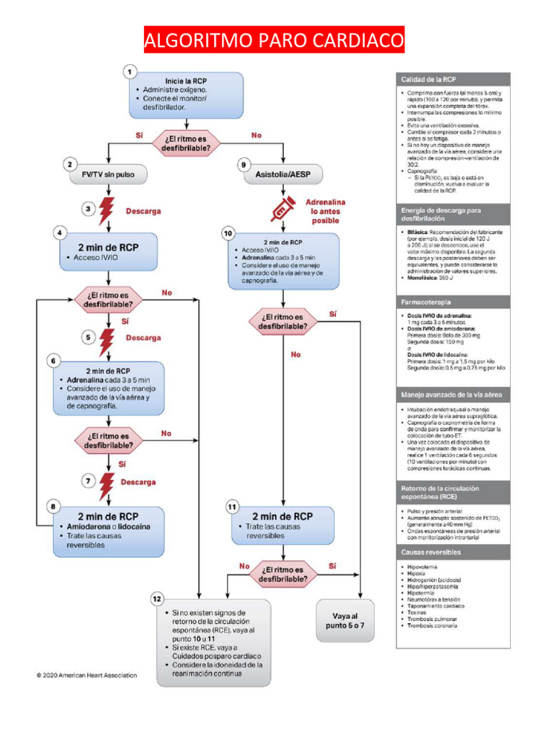 Algoritmos Aha 2020 | PDF